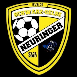 Schwarz-Gelbe-Neuringer